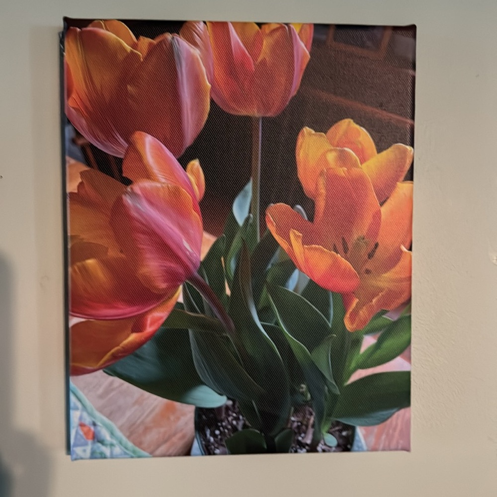 Original nature photo on canvas for painting like effect. Price is per each.